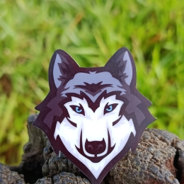 ARGANEL LOBO