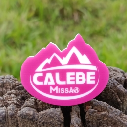 ARGANEL CALEBE MONTANHA ROSA  