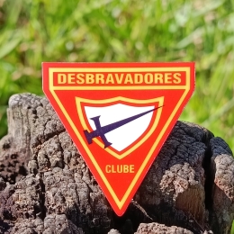 ARGANEL TRIANGULO D1