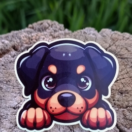 ARGANEL CACHORRO 