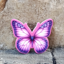 PIN CROCS BORBOLETA