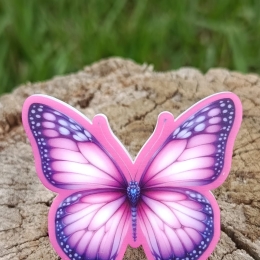 ARGANEL BORBOLETA ROSA